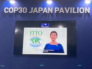>Video message by Executive Director of ITTO, Ms. Satkuru