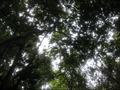 photo0014.JPG