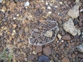 photo0017.JPG