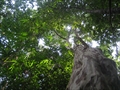 photo0019.JPG