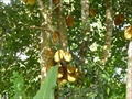 photo0066.JPG
