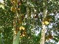 photo0067.JPG
