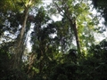 photo0109.JPG