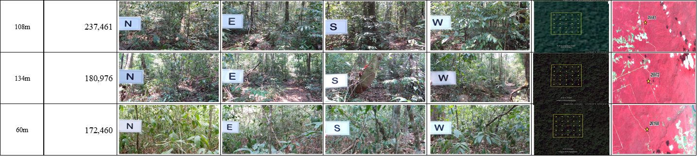 Interpretation cards added biomass fields and Landsat image fields